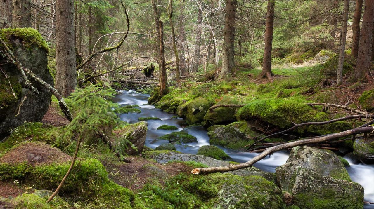 Penzion Горска-Квилда Экстерьер фото